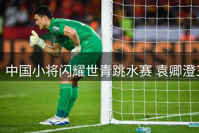 中国小将闪耀世青跳水赛 袁卿澄三金加冕10米台